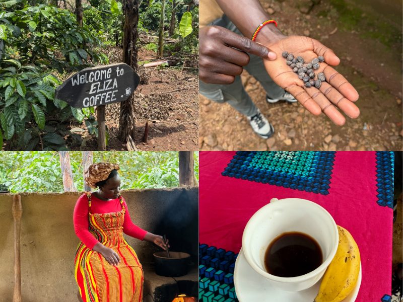 coffe collage